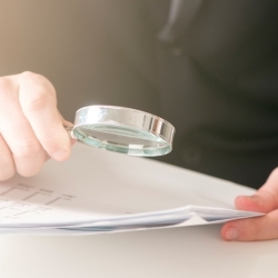Cami and iTutor home tutoring software services – Unfair Contract Terms